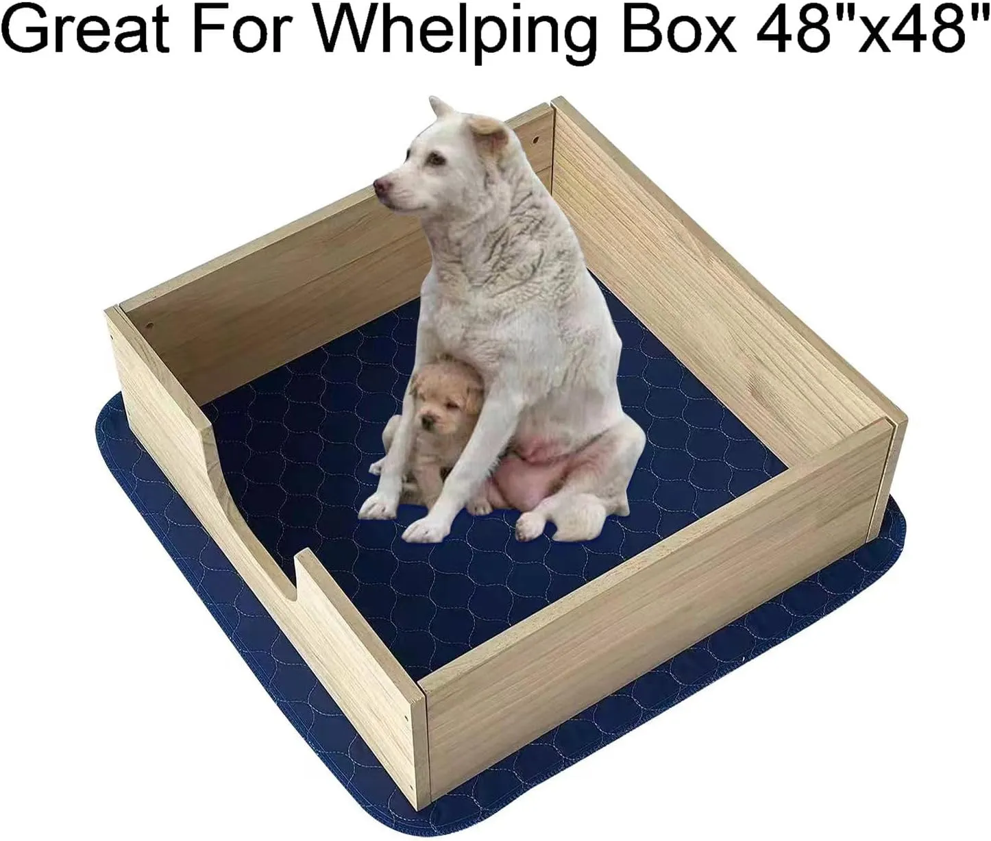 2Pack Pee Pads for Dogs Washable 53x53, Extra Large Puppy Pads Waterproof, Super Absorption, Anti Skid for Whelping Training