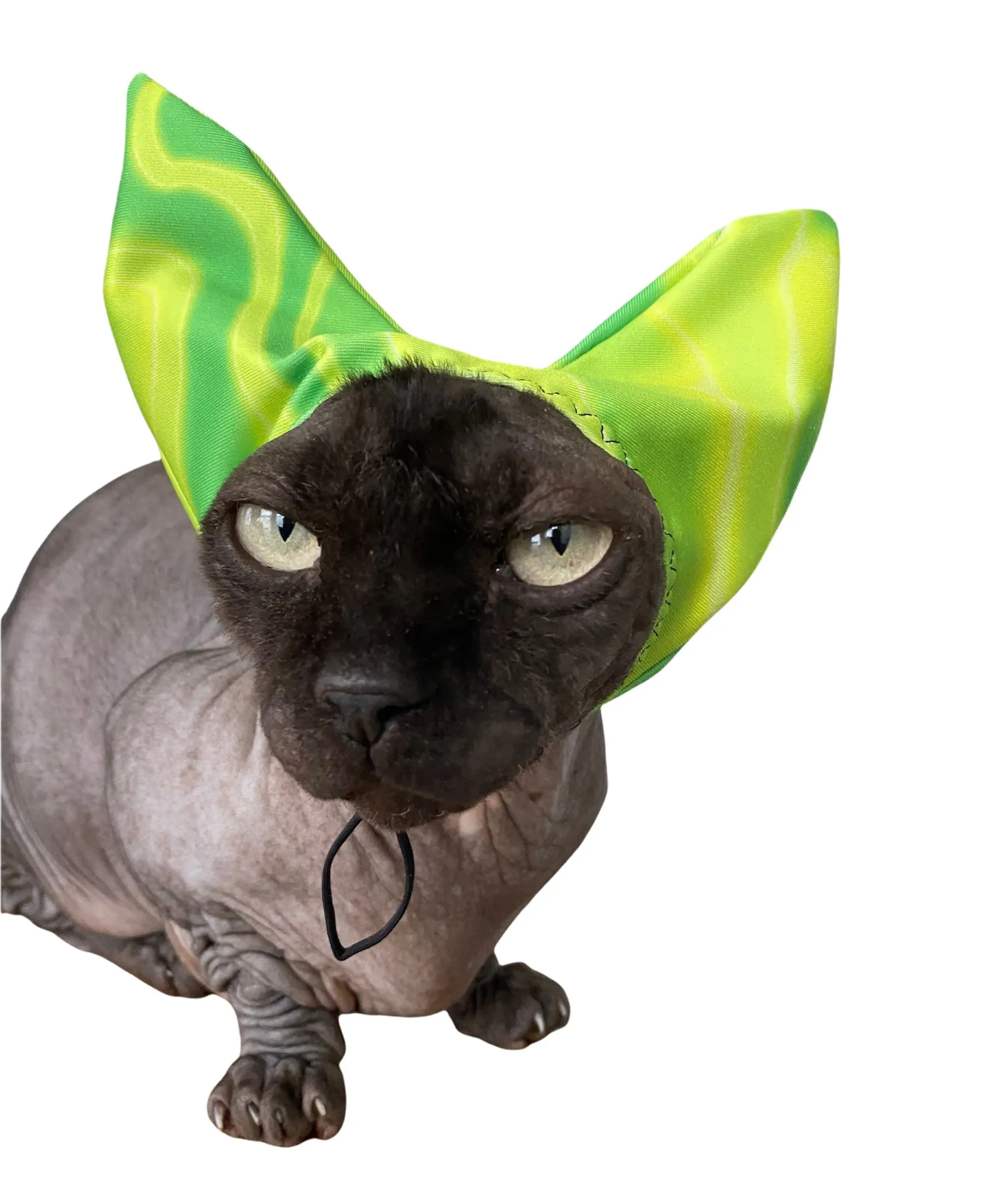 4-ALL PETS SHOWER / EAR / SUN CAP!