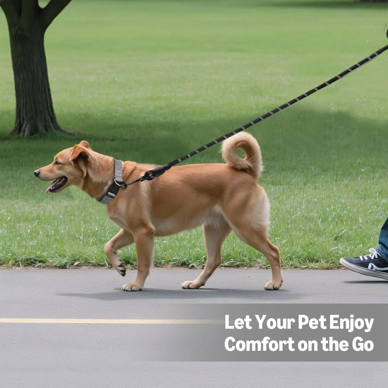 Amazon Basics Round Dog Leash, Heavy Duty, Durable Rope for Small, Medium, and Large Dogs, Lightweight Design for Walking, Training, and Outdoor Activities, Black, 4 Ft