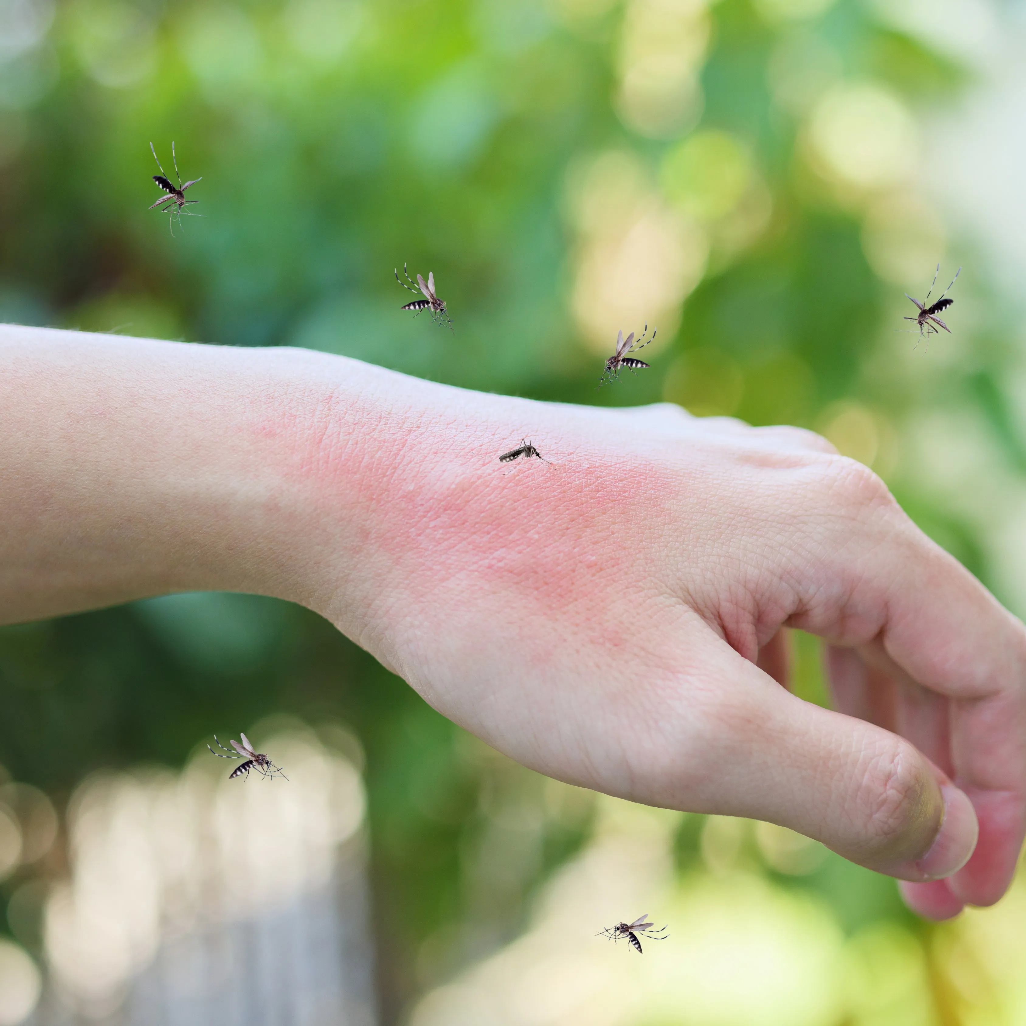 Anti-Mosquito Family Skin Spray