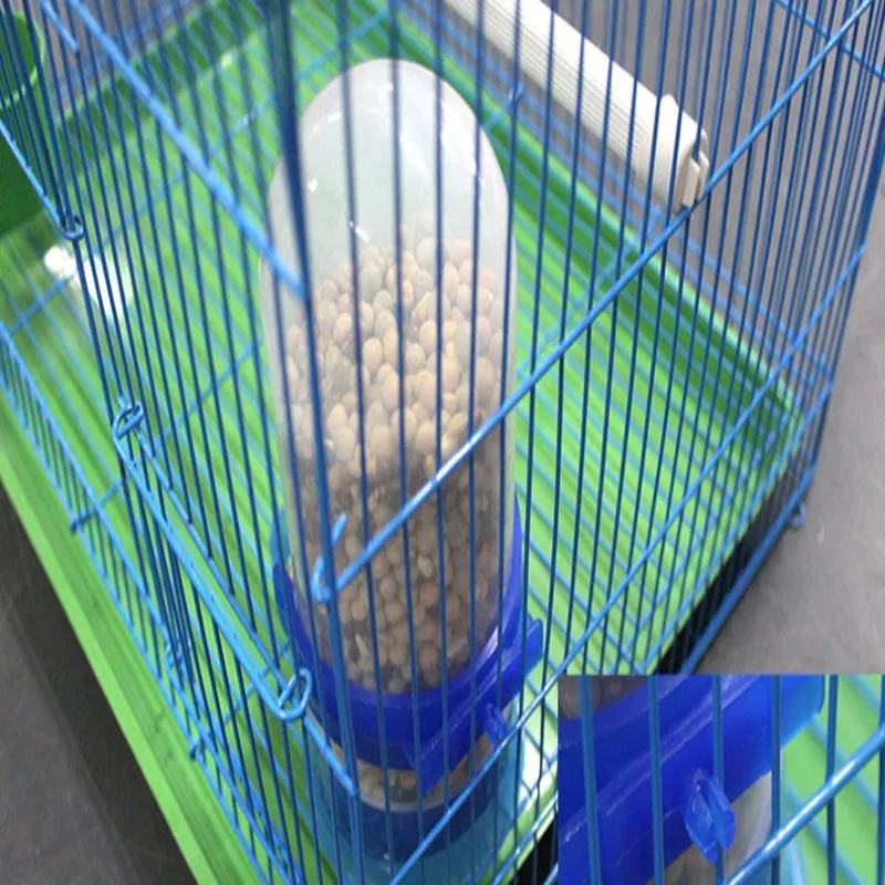 Automatic Bird Feeder