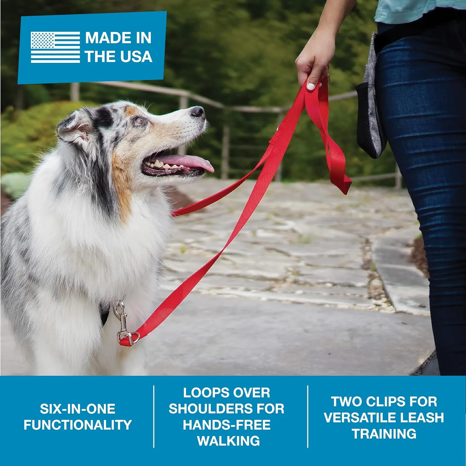 Blue-9 Multi-Function Hands Free Dog Leash, Double Attachment 6 Foot Adjustable Lead for Obedience, Running, and Agility Training, Made in The USA, Sky Blue, Medium/Large