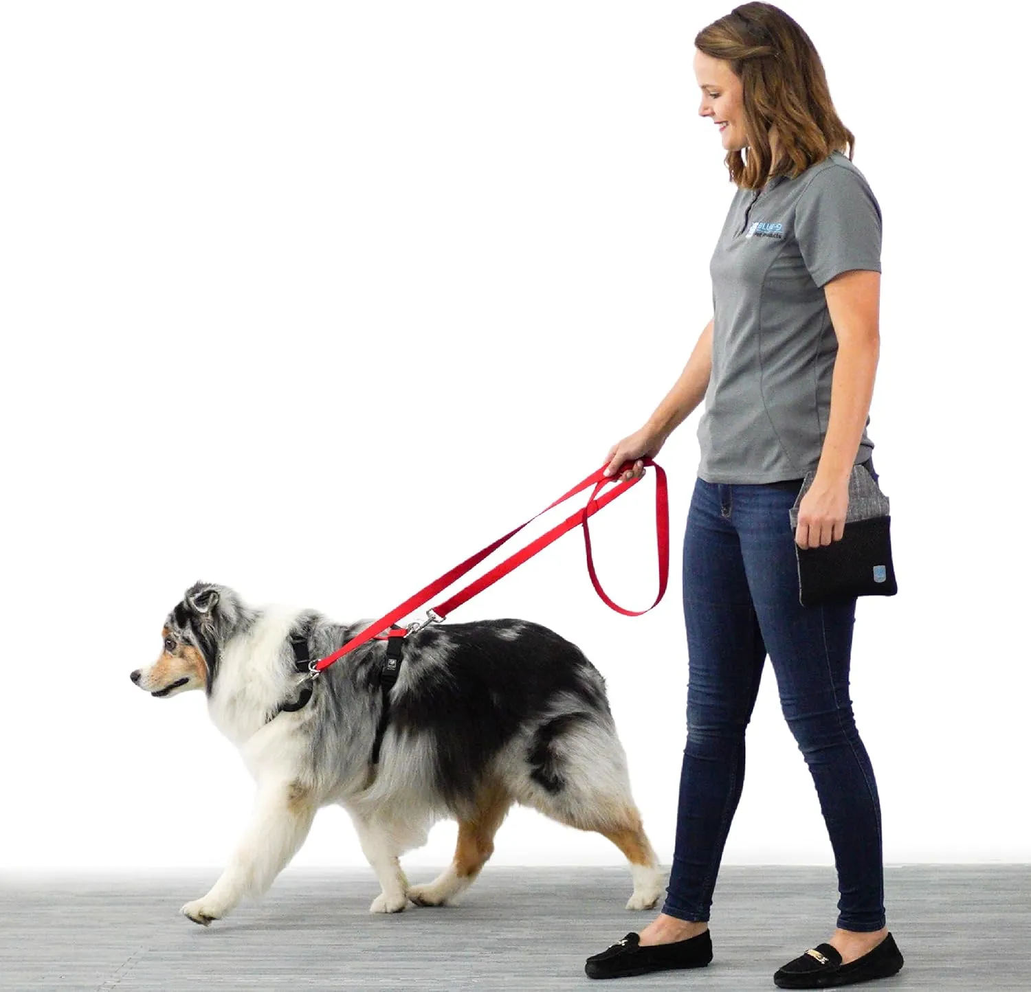 Blue-9 Multi-Function Hands Free Dog Leash, Double Attachment 6 Foot Adjustable Lead for Obedience, Running, and Agility Training, Made in The USA, Sky Blue, Medium/Large