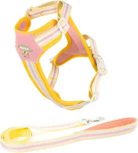 Dog Harness with Reflective Strips & Breathable Mesh - No-Pull Vest for Small Dogs, Step-in Design Includes Leash