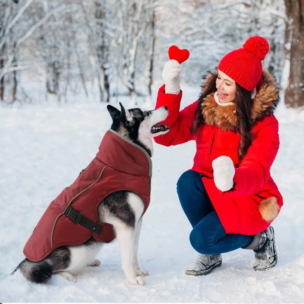 EMUST Winter Dog Jacket, Windproof Dog Apparel for Cold Weather, Reflective Winter Coat for Dogs, Warm Puppy Jacket, Burgundy, S