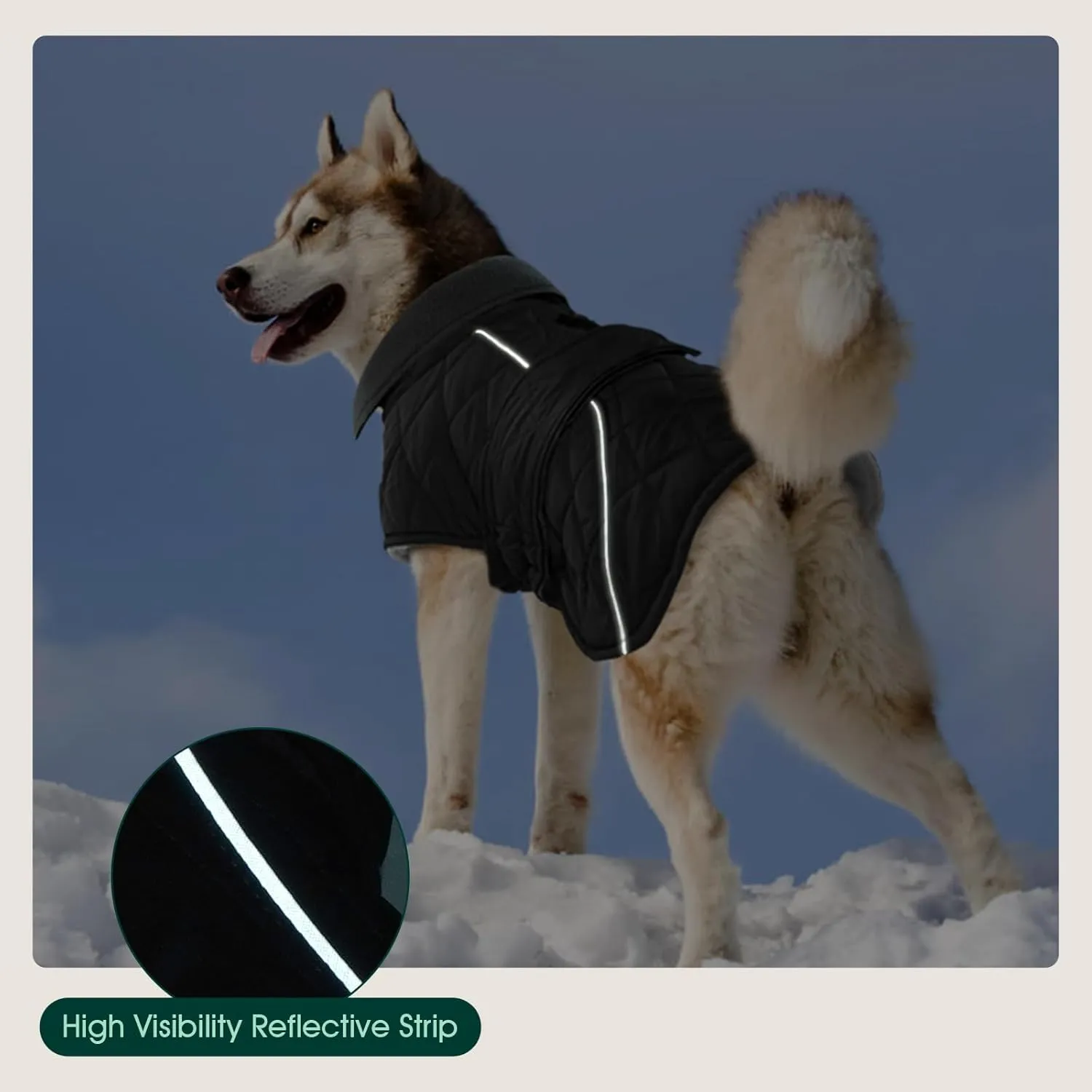 Kuoser Extra Warm Dog Jacket, Windproof Cold Weather Coats for Small Dogs, Fleece Lined Turtleneck Dog Snowsuit, Reflective Adjustable Winter Clothes, Dark Grey S