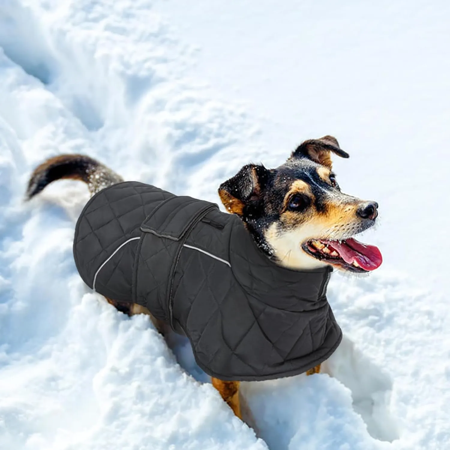 Kuoser Extra Warm Dog Jacket, Windproof Cold Weather Coats for Small Dogs, Fleece Lined Turtleneck Dog Snowsuit, Reflective Adjustable Winter Clothes, Dark Grey S