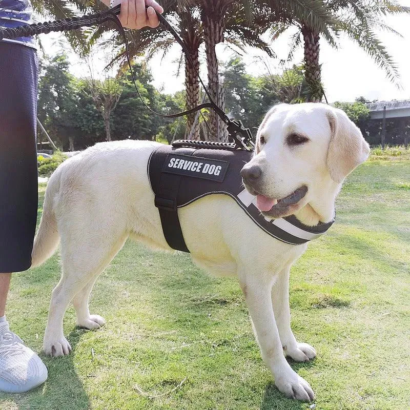 New Frog Buckle Dog Leash for Medium and Large Dogs