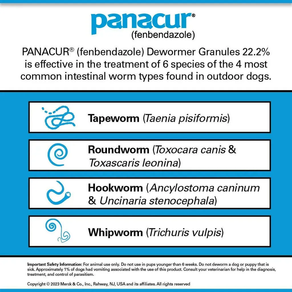 Panacur Dewormer Granules 22.2% for Dogs (1 lb)