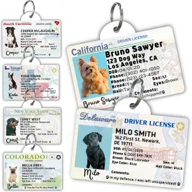 PawFurEver License Tag for Large Breeds - Personalized Pet Driver License ID Tags and Wallet Card - State ID Name Tags - Custom Funny Dog Tags - Texas