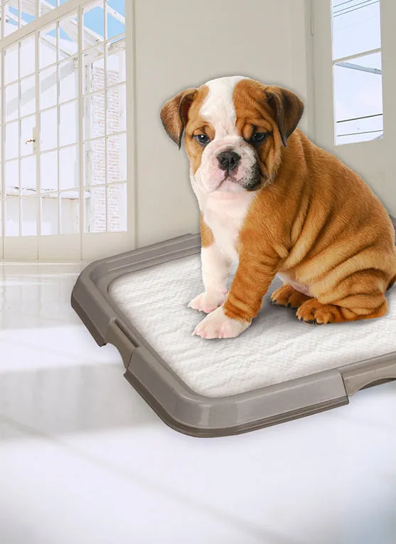 Pawise Dog Toilet for house-training Pee pad tray
