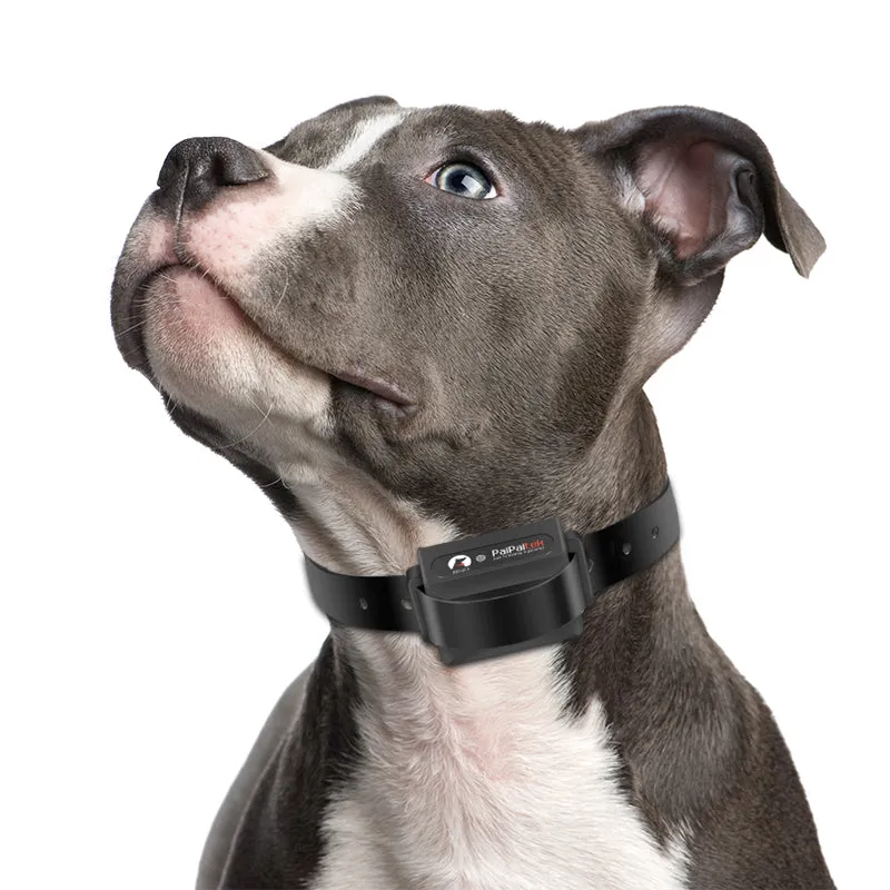PD 525V-TIO 2 IN 1 Dog Remote Training Collar Without Shock