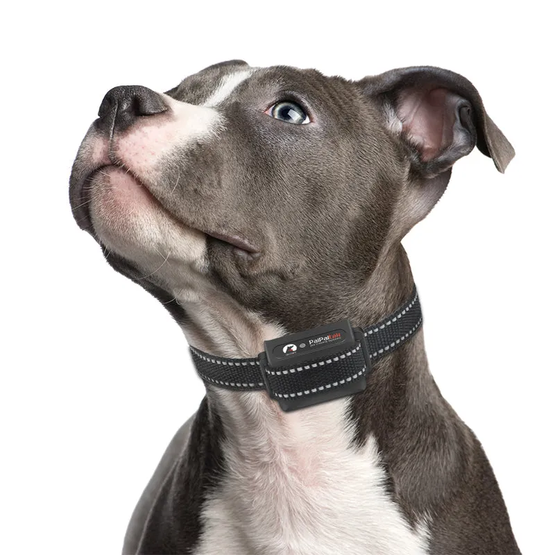 PD 529 Dog Remote Training Collar With Shock
