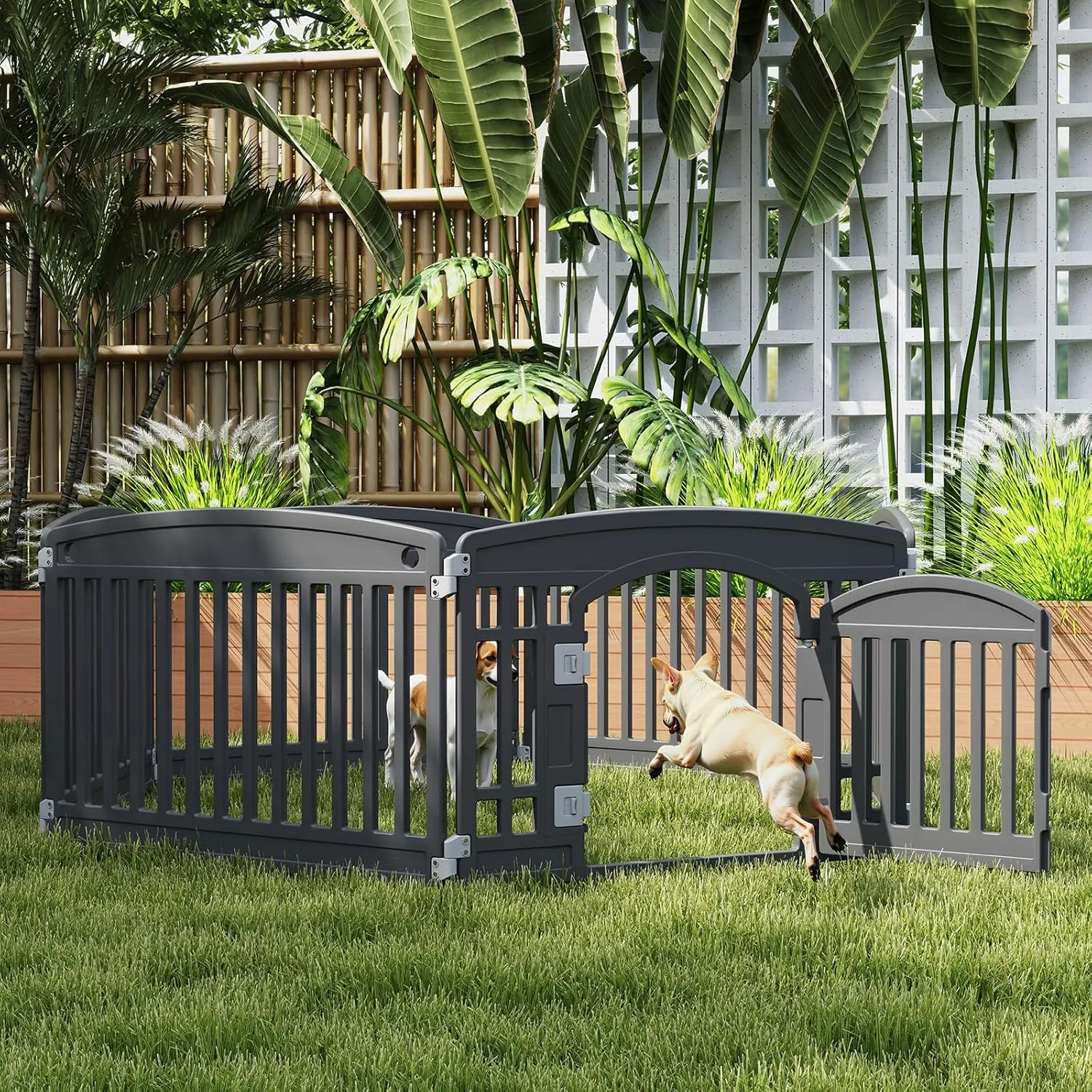 Plastic Dog Playpen | 6-Panel 24" Safe & Secure Indoor/Outdoor Pet Fence | Folding & Portable | 35 x 35 x 24IN, Ideal for Small to Medium Dogs | Easy to Clean Black