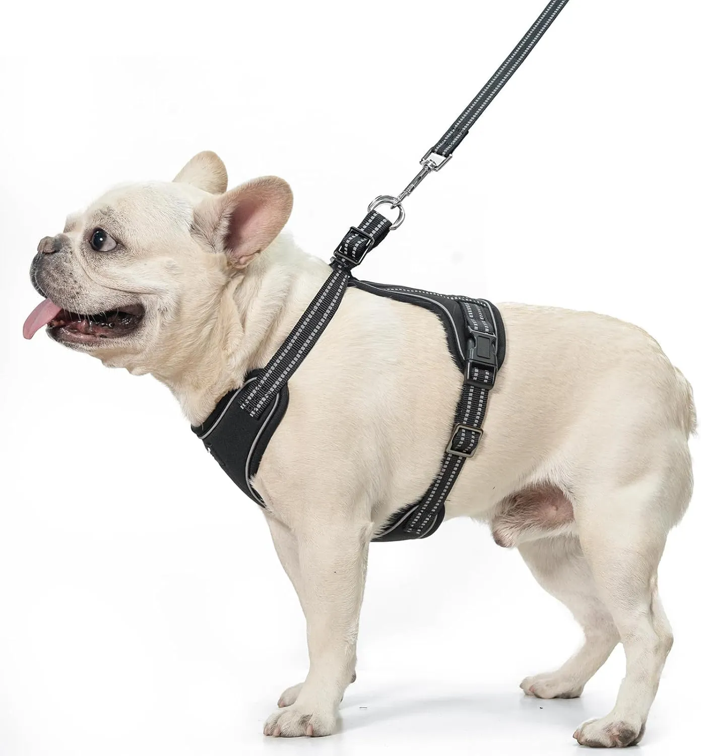 PUPTECK Dog Harness and Leash Set for Small Medium Sized Dogs, No Pull Dog Harness for Walking Training, Adjustable Reflective Puppy French Bulldog Frenchie Harness Soft Padded Vest, Black, S