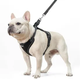 PUPTECK Dog Harness and Leash Set for Small Medium Sized Dogs, No Pull Dog Harness for Walking Training, Adjustable Reflective Puppy French Bulldog Frenchie Harness Soft Padded Vest, Black, S