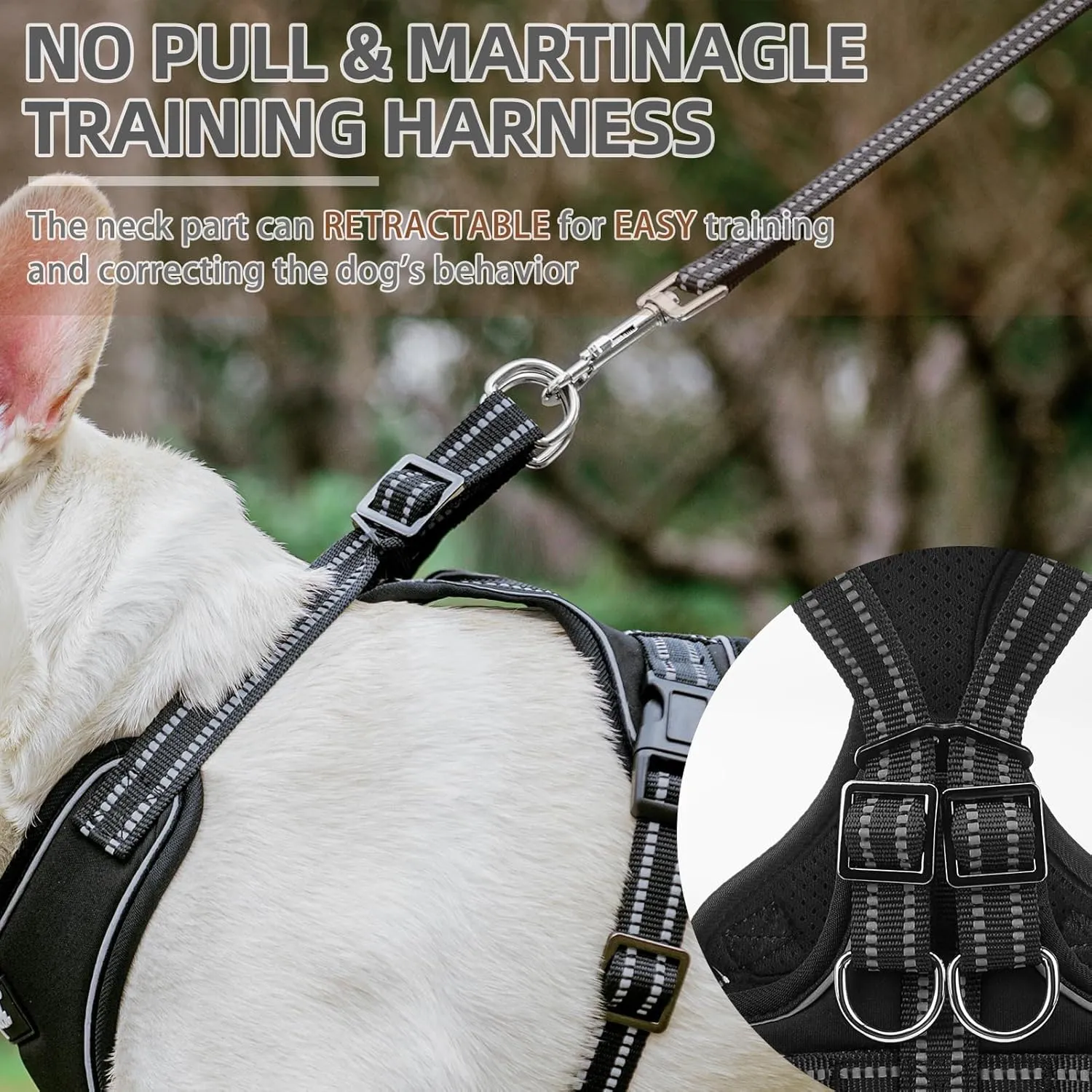 PUPTECK Dog Harness and Leash Set for Small Medium Sized Dogs, No Pull Dog Harness for Walking Training, Adjustable Reflective Puppy French Bulldog Frenchie Harness Soft Padded Vest, Black, S