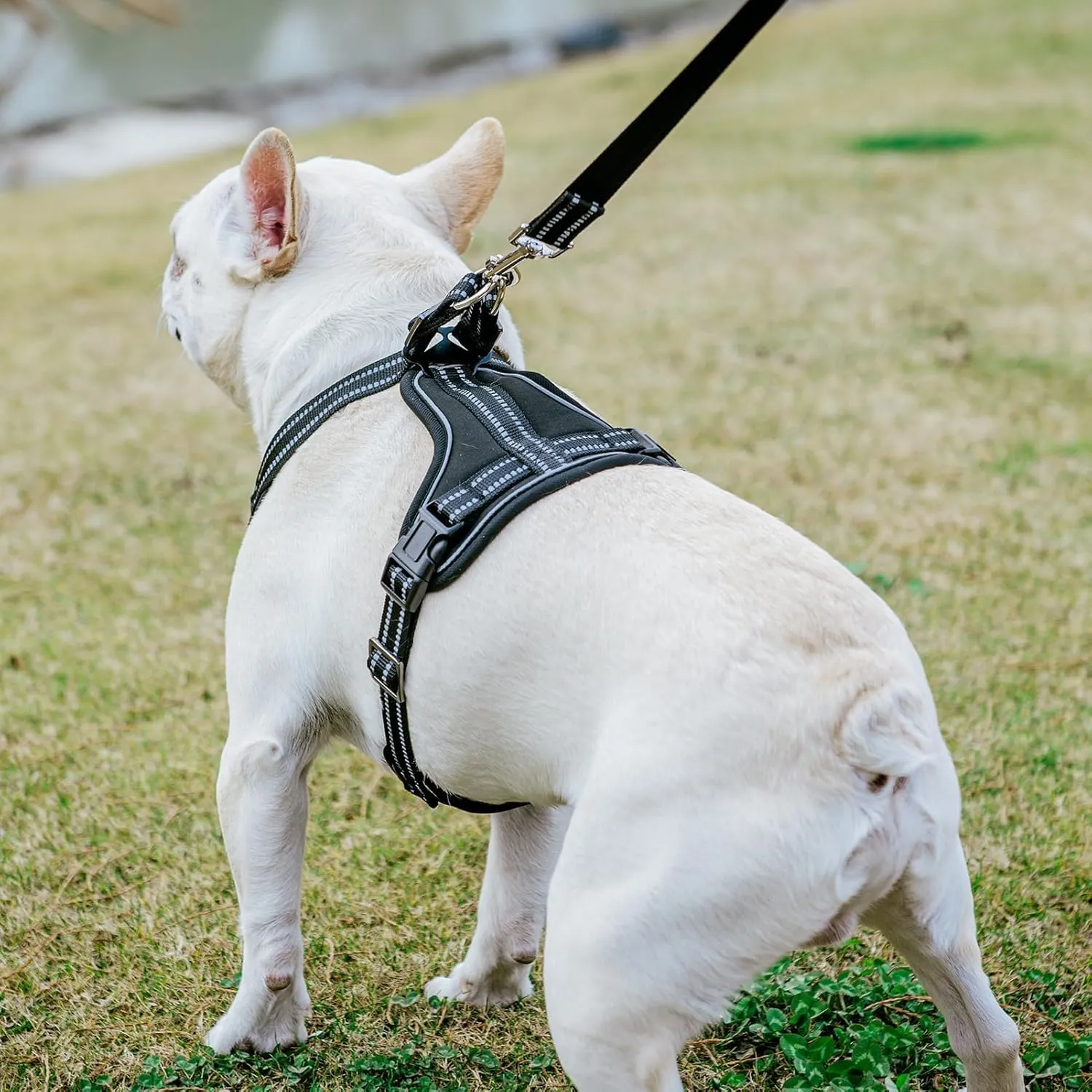 PUPTECK Dog Harness and Leash Set for Small Medium Sized Dogs, No Pull Dog Harness for Walking Training, Adjustable Reflective Puppy French Bulldog Frenchie Harness Soft Padded Vest, Black, S