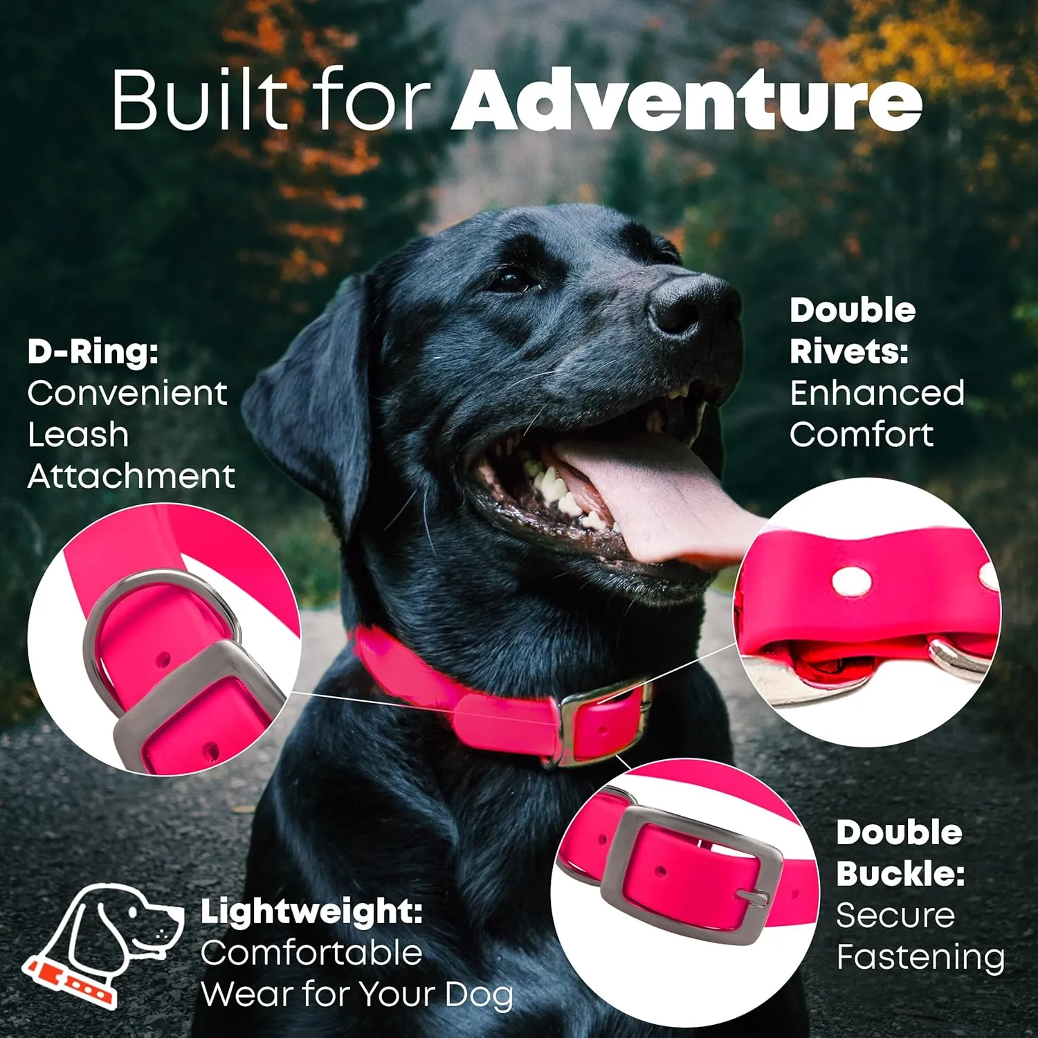 Regal Dog Products Small Pink Dog Collar with Custom Engraved Name Plate - Custom Fit, Resistant, Easy to Clean Biothane Waterproof Personalized Dog Collars with Double Buckle & Center Ring