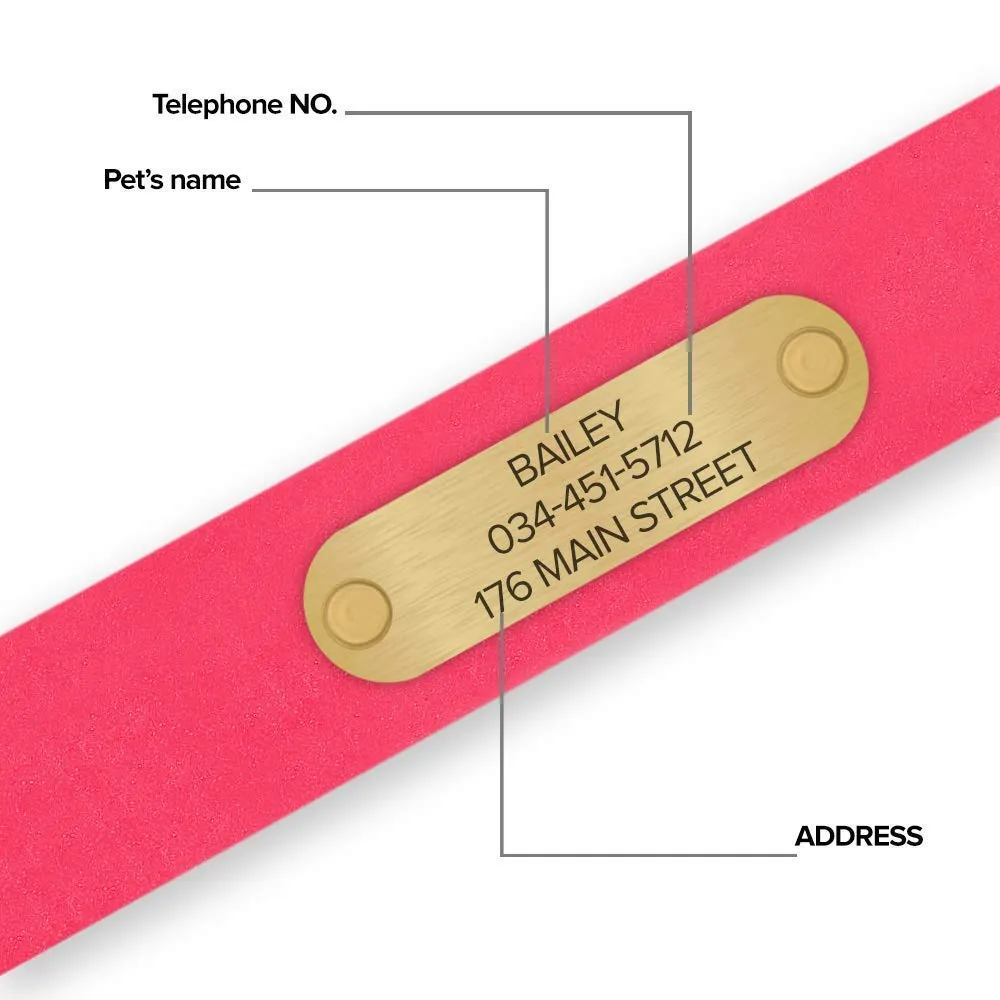 Regal Dog Products Small Pink Dog Collar with Custom Engraved Name Plate - Custom Fit, Resistant, Easy to Clean Biothane Waterproof Personalized Dog Collars with Double Buckle & Center Ring