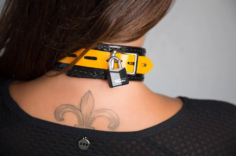 Shock Training Collar