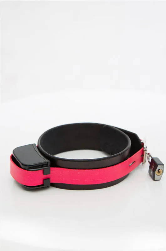 Shock Training Collar