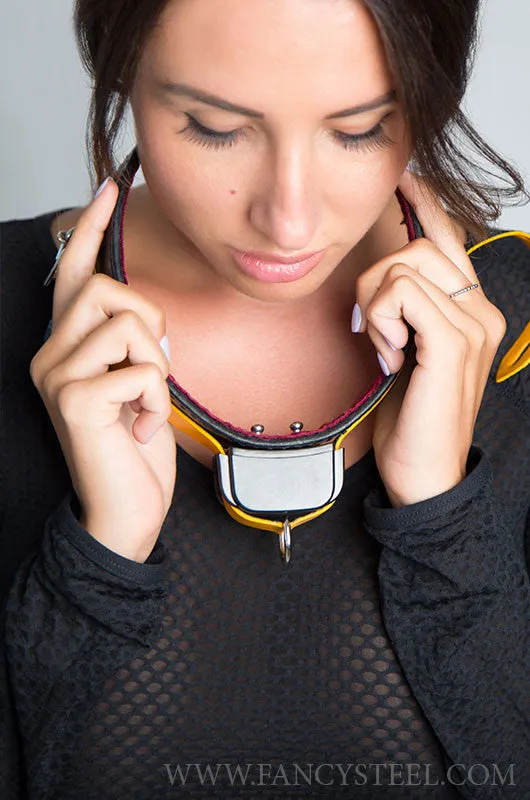Shock Training Collar