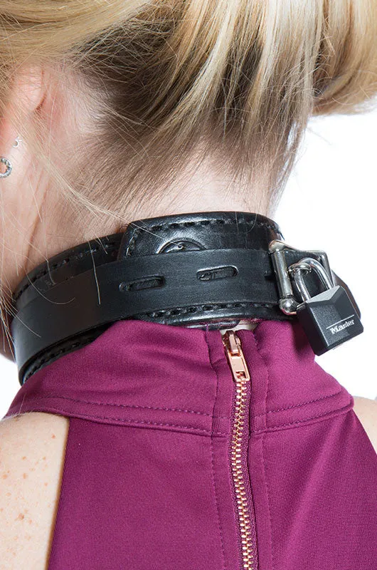 Shock Training Collar