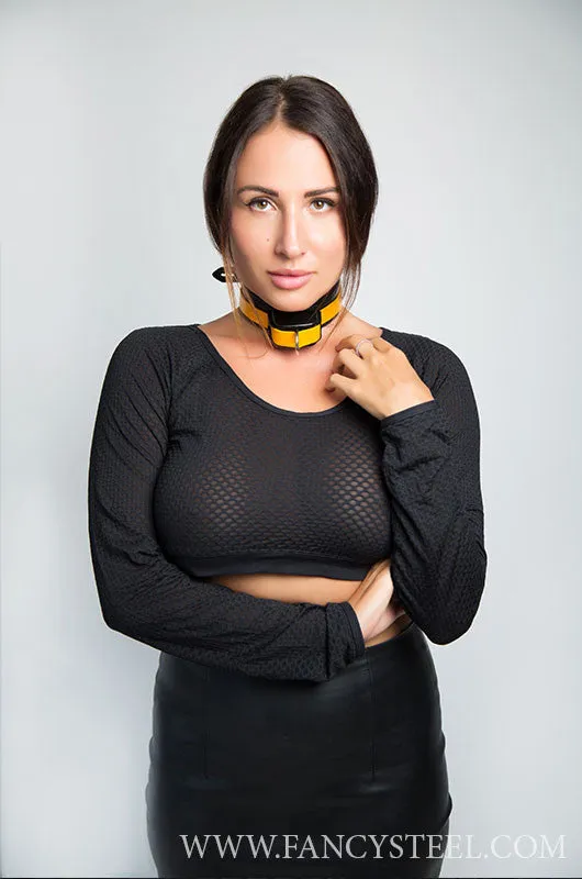 Shock Training Collar