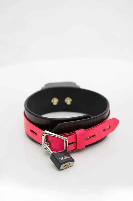 Shock Training Collar
