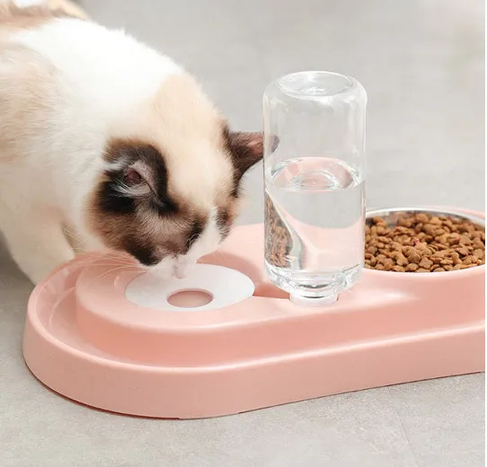 Stainless Steel Pet Bowls with Automatic Water Bottle | PetPals®