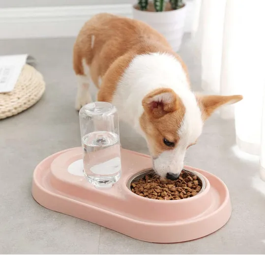 Stainless Steel Pet Bowls with Automatic Water Bottle | PetPals®