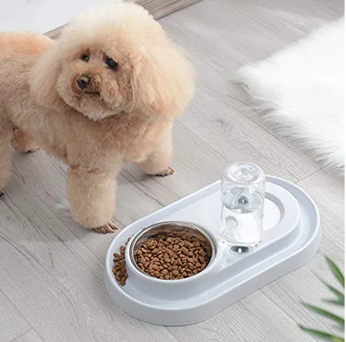 Stainless Steel Pet Bowls with Automatic Water Bottle | PetPals®