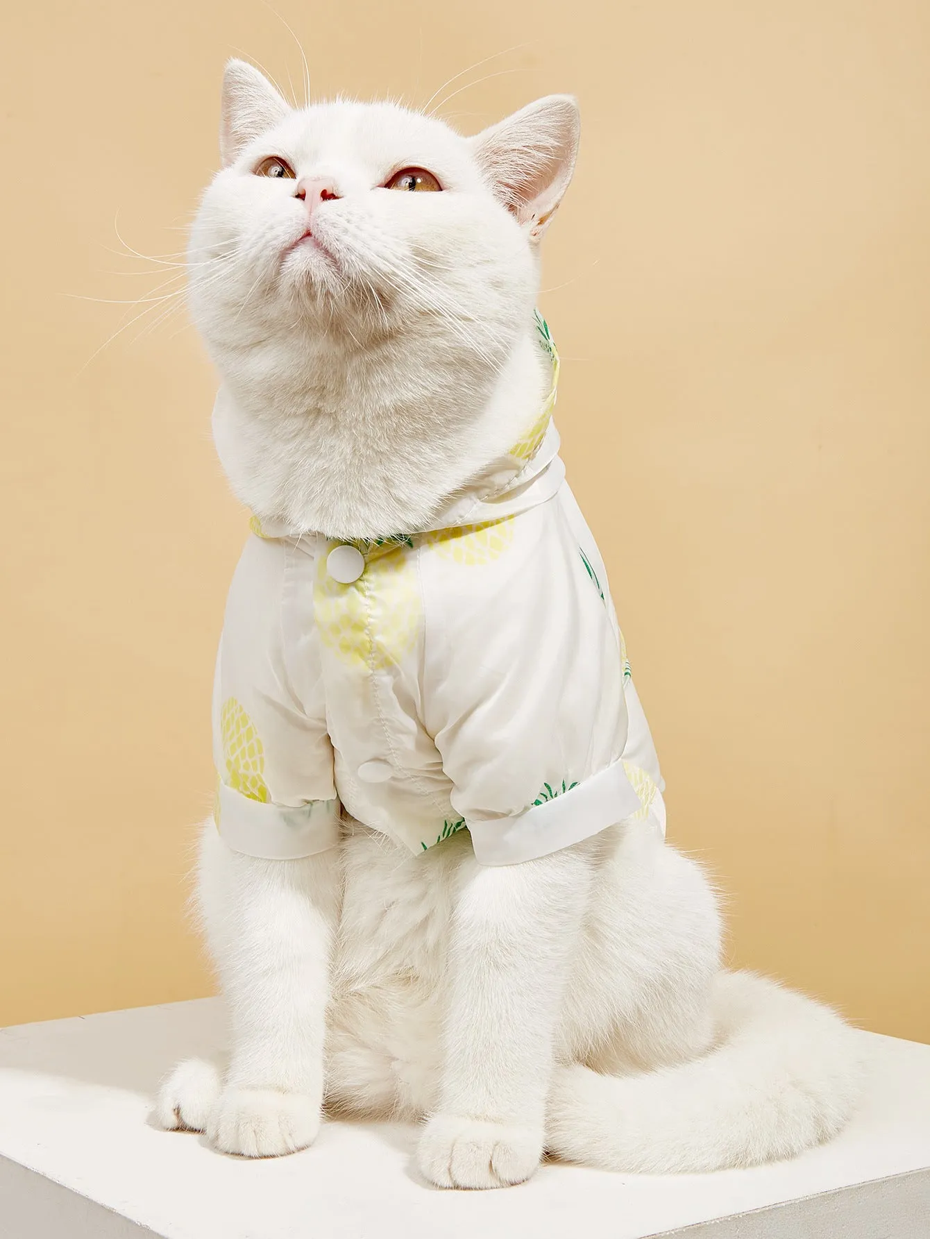 Thin Breathable Pet Shirt With Hood