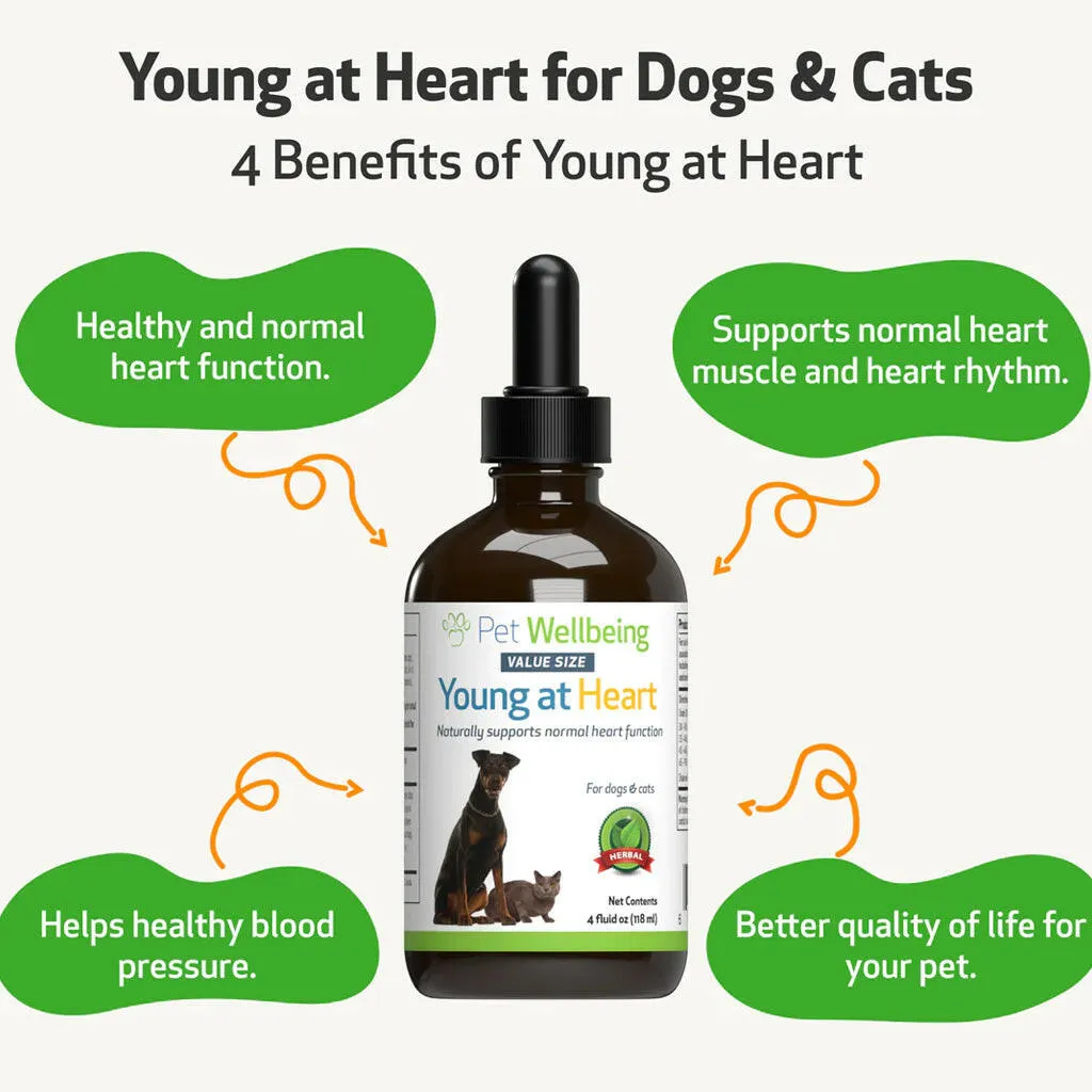 Young at Heart - for Healthy Heart Maintenance in Dogs (4 oz)