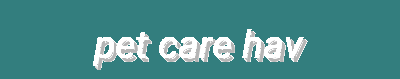 Pet Training, Health, Travel & Protective Supplies | Training Collars, Vitamins, Pet Beds, Safety Cages & More